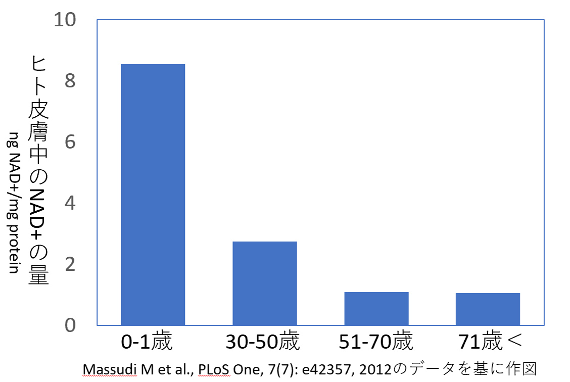 ヒト皮膚中のNAD+の量
