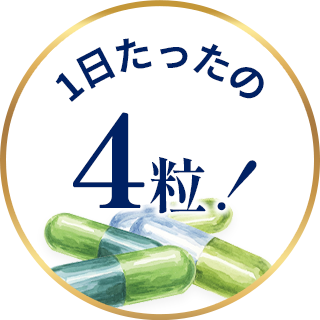 1日たったの4粒！